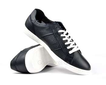 PRATO PC135/K281