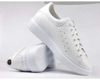 NESSI 21527/BIALY 1