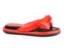 LOTTINI 48-244-10/247