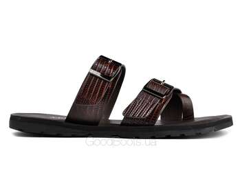 VERITAS 56179-1/COFFEE