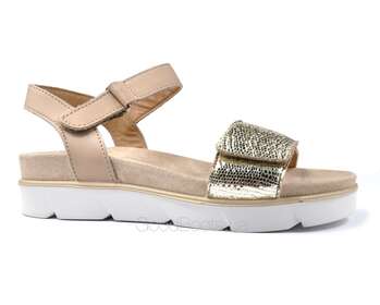 IGI&CO 7167200