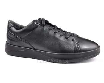 IKOS 1725-1/BLACK LICO