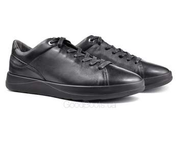 IKOS 1725-1/BLACK LICO