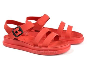 FERESKI 1238-51 RED A148_P