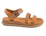 FERESKI 1238-51 FOX A141S04_P