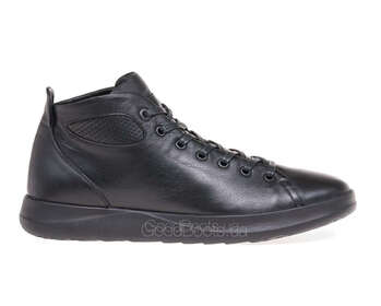 IKOS 1791-1-B/BLACK/LICO