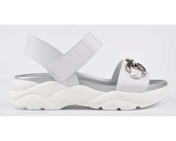 NESSI 21011/BIALY 412