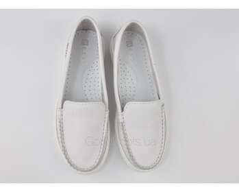 NESSI 20689/BIALY 412