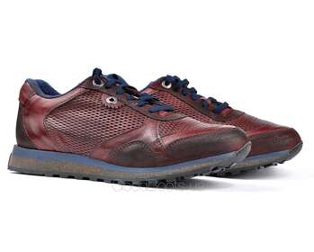 EXTON 340/BORDO