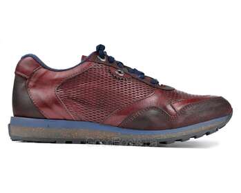 EXTON 340/BORDO