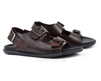 IKOS 3825-5/BROWN/LICO
