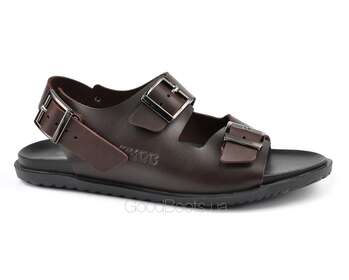 IKOS 3825-5/BROWN/LICO