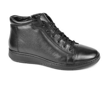 STEPTER 7845/BLACK LICO