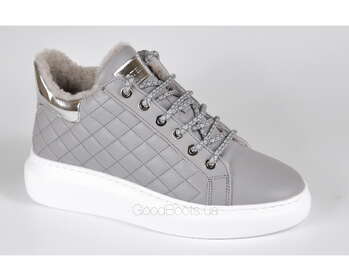 STEPTER 7748/SZARY/LICO