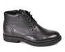IKOS 3664-7-BN/BLACK/LICO