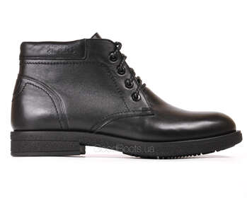 IKOS 3664-7-BN/BLACK/LICO