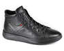 IKOS 1867-1/B-F/BLACK/LICO