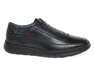 IKOS 1829-1/BLACK LICO