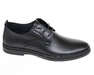 STEPTER 7799/BLACK/LICO