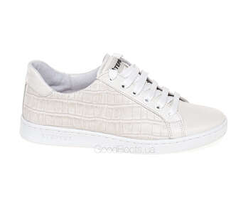 STEPTER 7926/MILK/LICO