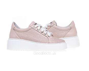 STEPTER 7934/ROZ/LICO