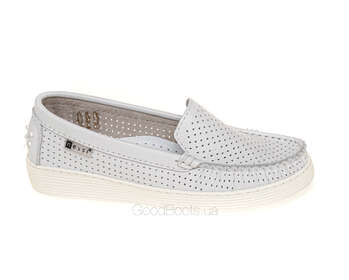 NESSI 22170/BIALY 412