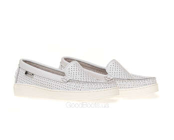 NESSI 22170/BIALY 412