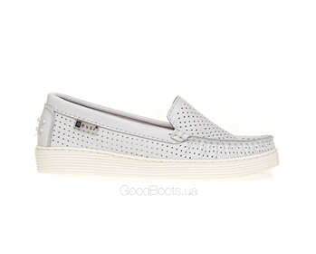 NESSI 22170/BIALY 412