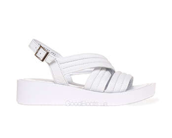 NESSI 22203/BIALY 3