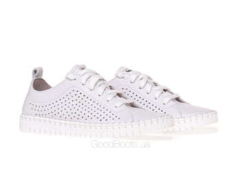 NESSI 22168/BIALY 412