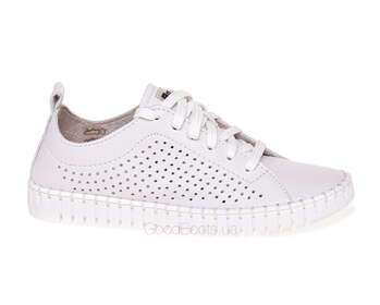NESSI 22168/BIALY 412