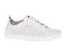 NESSI 22168/BIALY 412