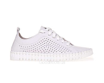 NESSI 22168/BIALY 412