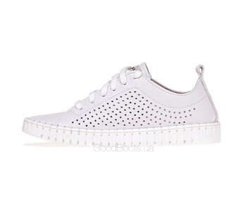 NESSI 22168/BIALY 412