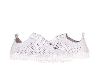 NESSI 22168/BIALY 412