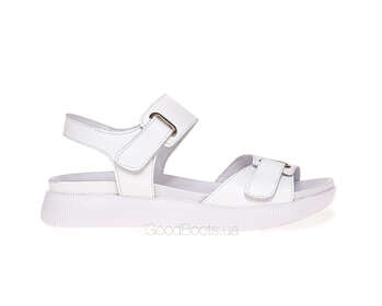 STEPTER 7884/WHITE/LICO