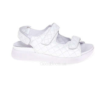 STEPTER 7885/WHITE