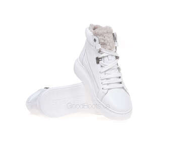 STEPTER 7824/WHITE/LICO