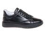 STEPTER 8098/BLACK/LICO