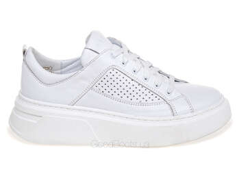 NESSI 23413/BIALY 12