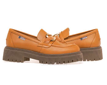 NESSI 22341/CAMEL 12
