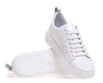 STEPTER 8146/WHITE/LICO