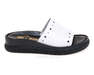LEMAR 40343/BF.BIALY