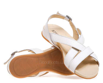 STEPTER 8133/MOLOKO/LICO