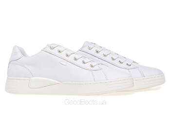 GEOX D2624B/00085/C1000
