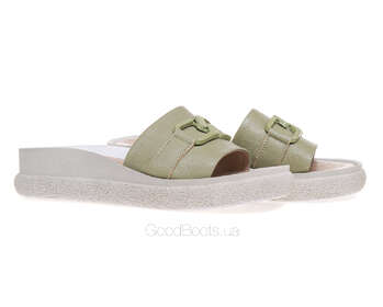 LEMAR 40387/V.PISTACIA+K.