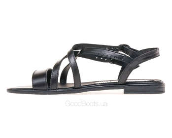 STEPTER 7901/BLACK/LIC