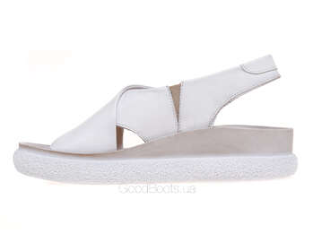 NESSI 23450/BIALY 12