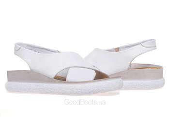 NESSI 23450/BIALY 12