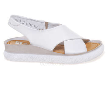 NESSI 23450/BIALY 12
